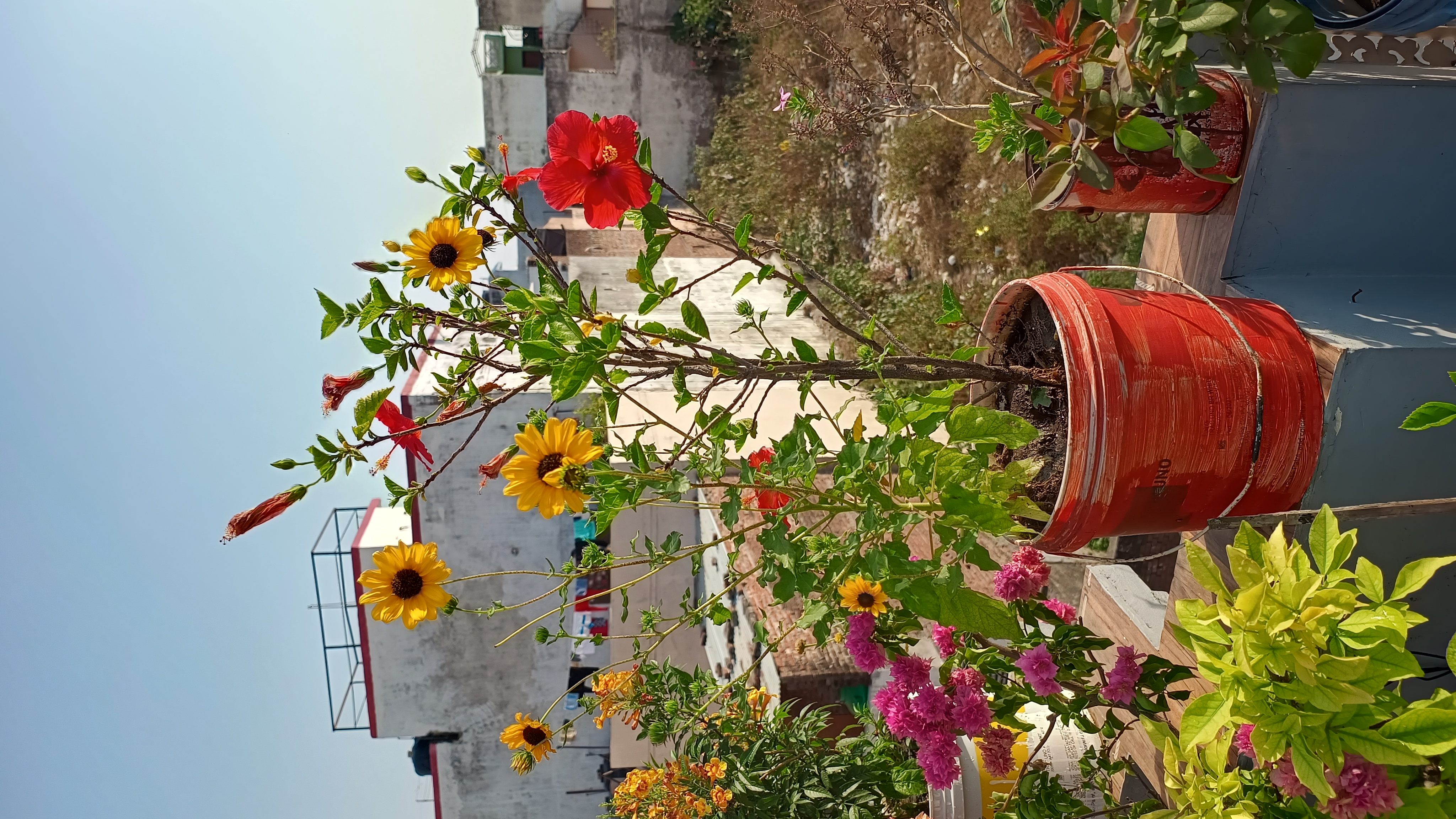 IMG_20250425_081232365_HDR