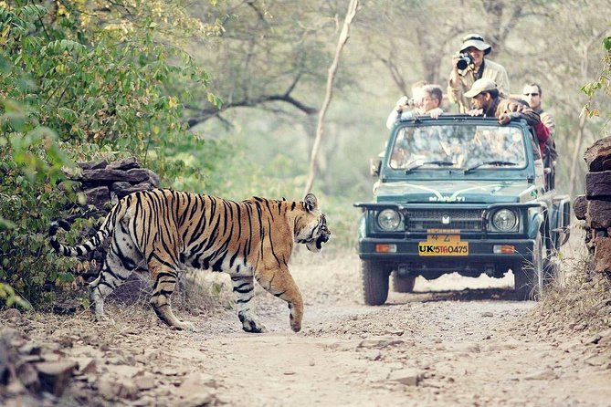 Wildlife and Nature Sanctuaries Around Haridwar - Haridwar travel guide and homestay tips
